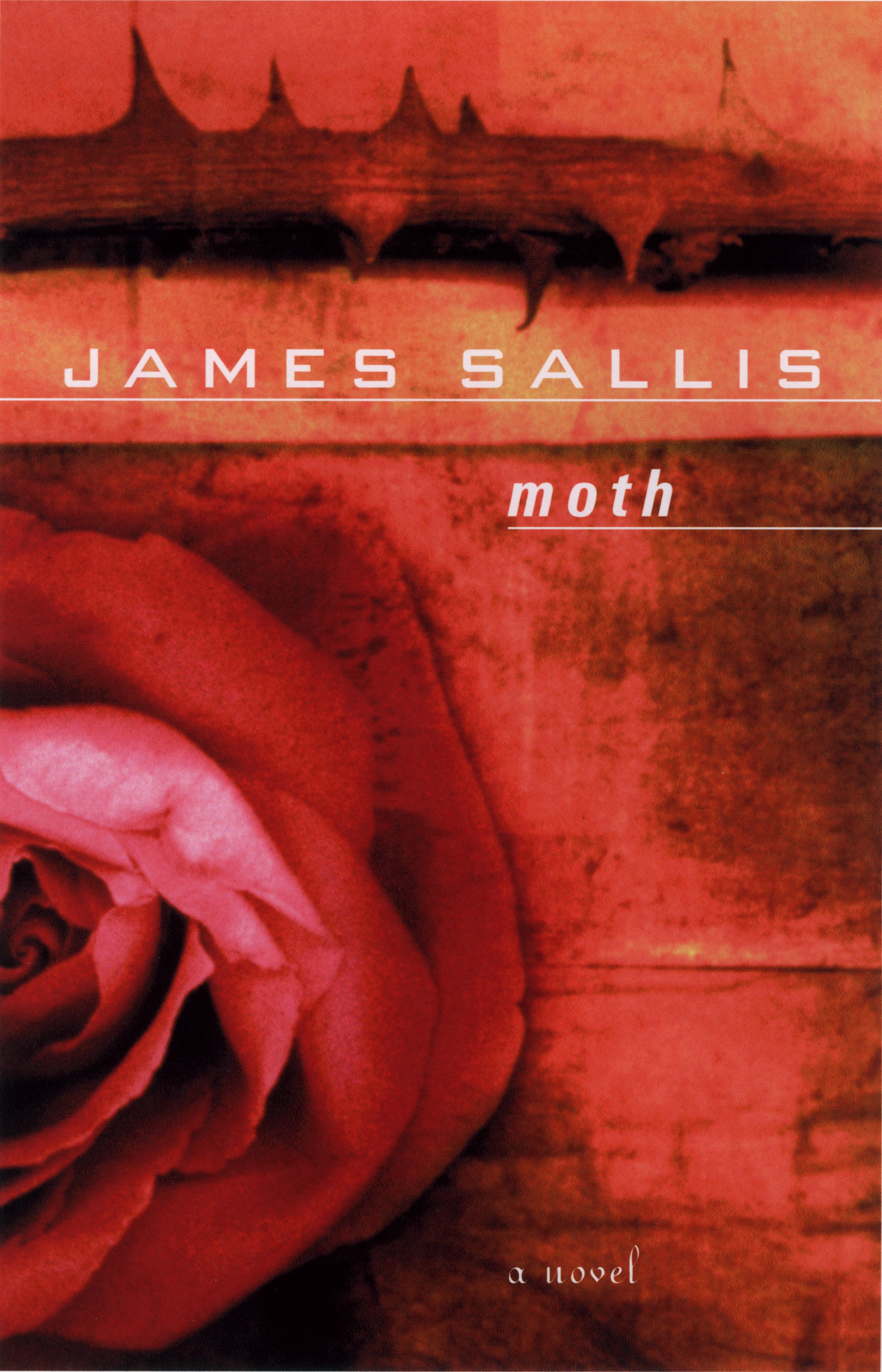Cover for the US reissue of Moth