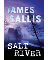 Salt River book cover